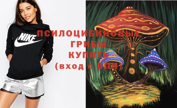 первитин Пестово