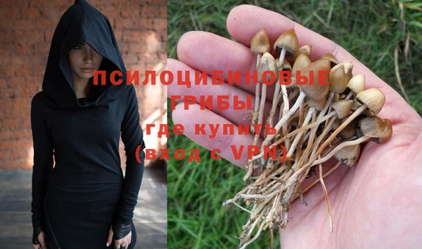 молекула духа Остров