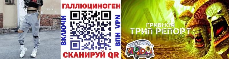 кракен вход  Лангепас  Псилоцибиновые грибы GOLDEN TEACHER 